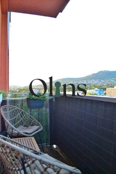 WhatsApp Image 2026-03-02 at 15.52.08 (4).jpeg