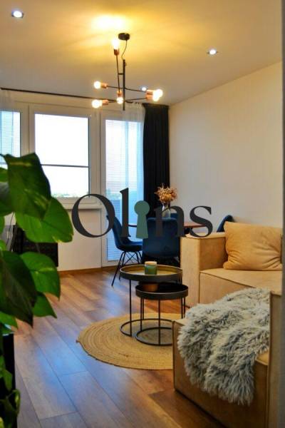 WhatsApp Image 2026-03-02 at 15.52.08 (2).jpeg