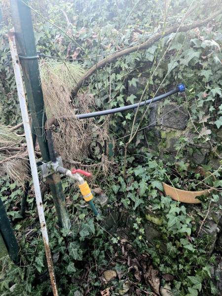 WhatsApp Image 2026-04-01 at 23.37.48.jpeg