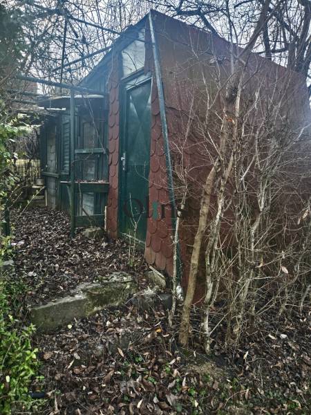 WhatsApp Image 2026-04-01 at 23.39.10.jpeg