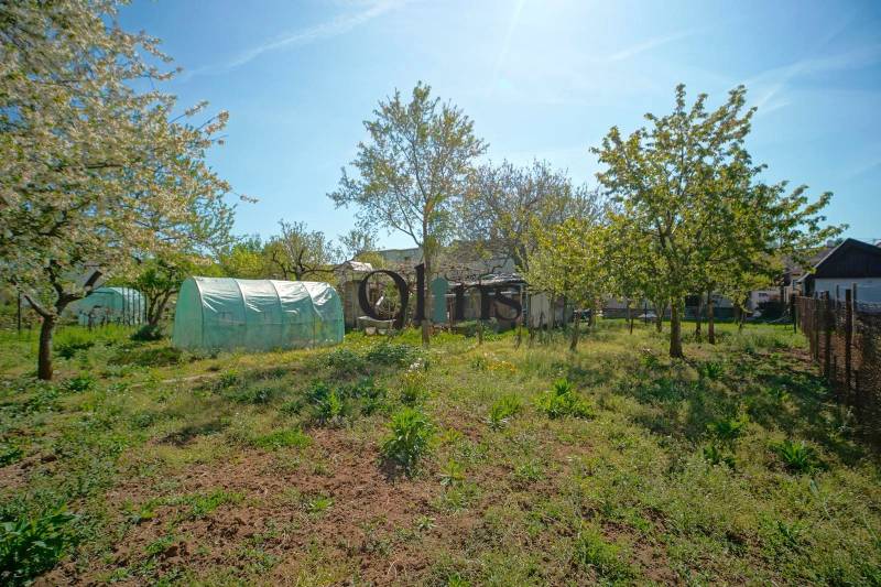 WhatsApp Image 2026-04-18 at 13.29.06.jpeg